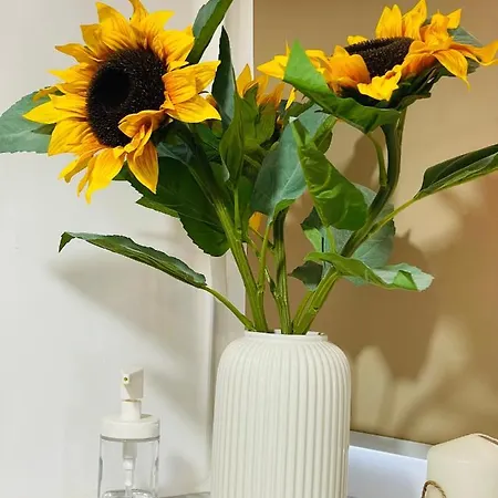 Apartamento Casa Ferias